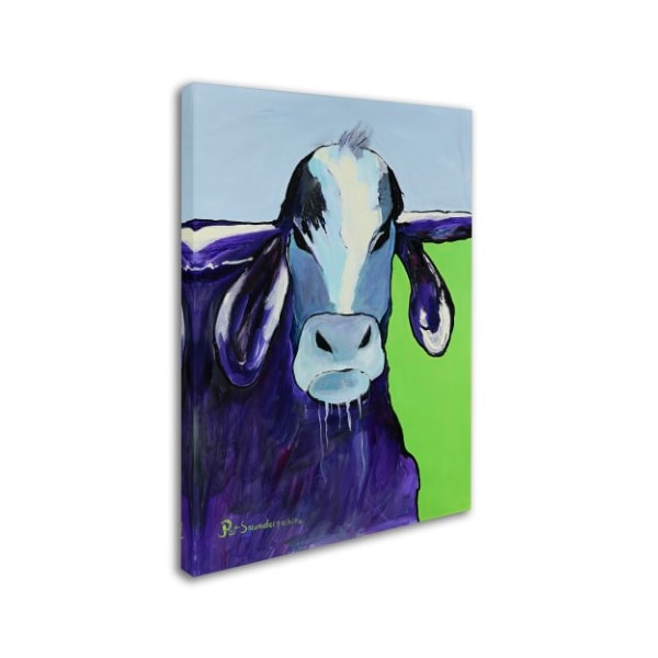 Pat Saunders-White 'Bull Drool II' Canvas Art,24x32